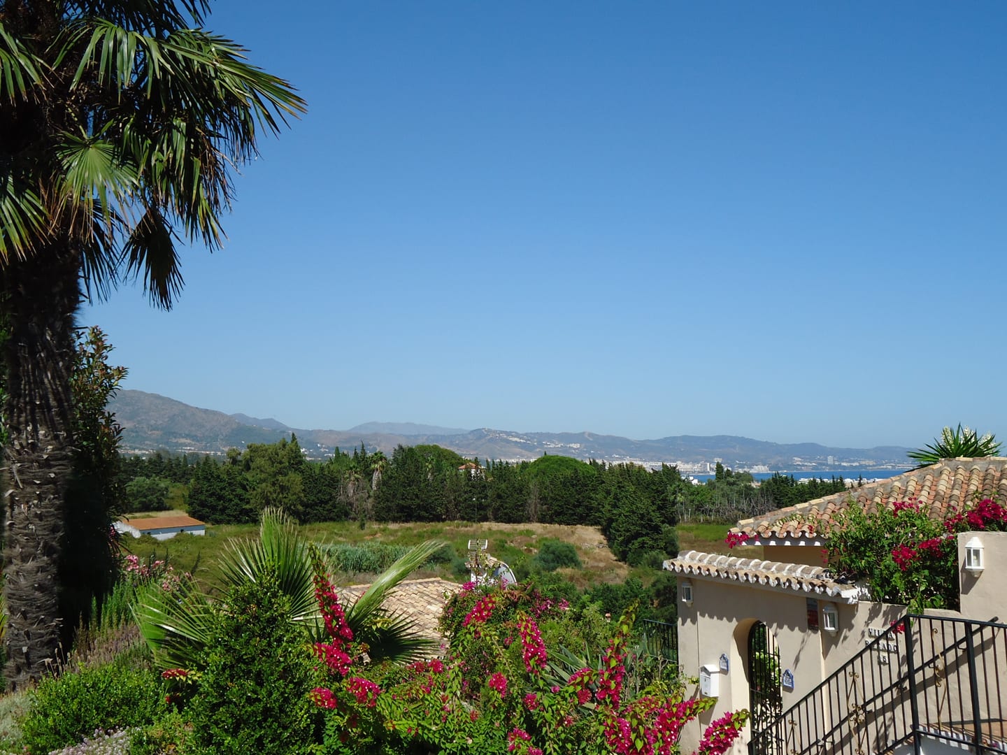 Coastal and mountain panorama from Puerto Banús area, Marbella, showing Mediterranean gardens, pine forest, coastline and Sierra Blanca foothills, shown as local context near ALOHA FOREST