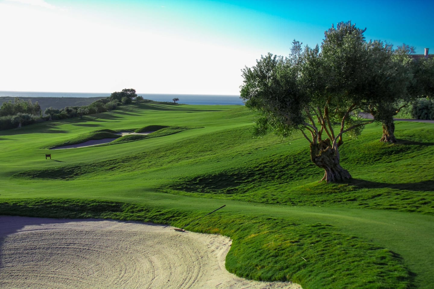 ATTIRE ESTEPONA area photograph of a golf course fairway with sand bunkers, mature olive trees and a Mediterranean Sea backdrop near Casares, Costa del Sol