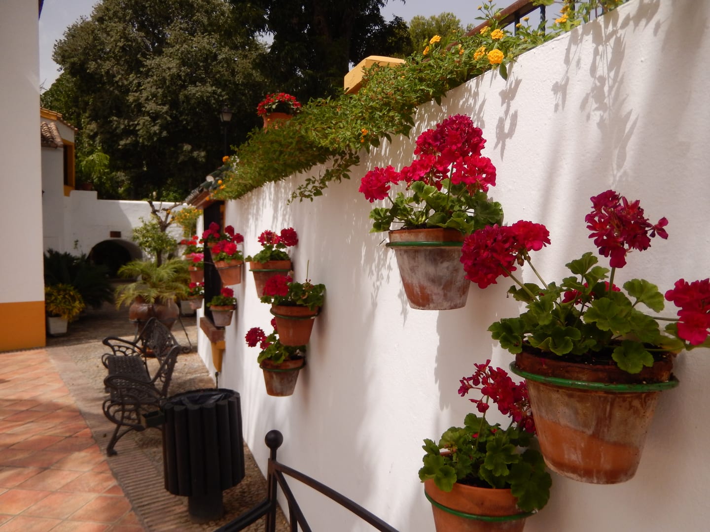 RESIDENCIAL LIVING GARDENS area photograph near Jardín Botánico Molino de Inca, Torremolinos, showing a whitewashed courtyard wall with wall-mounted terracotta pots of red geraniums, an ironwork bench and mature garden trees.