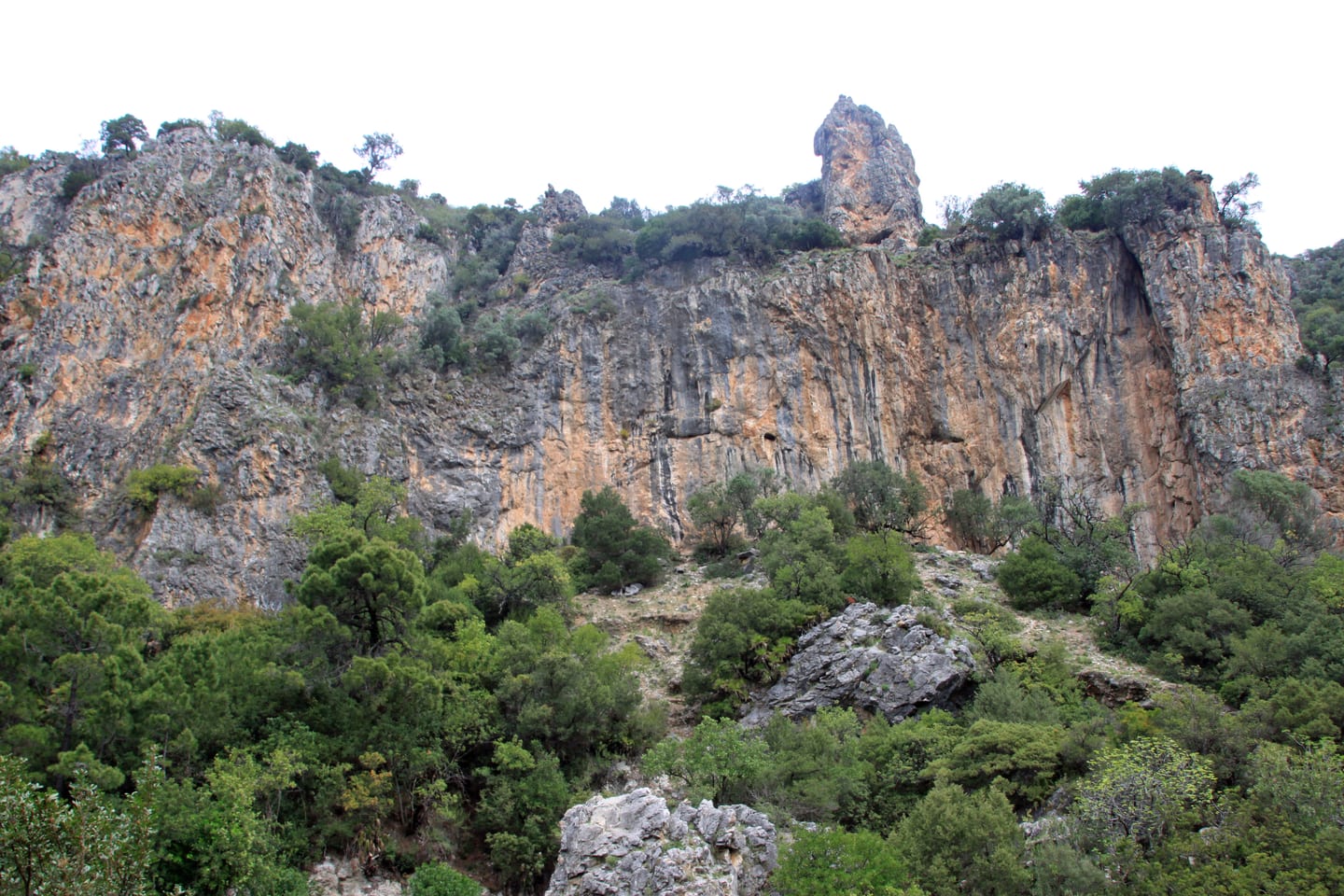 Limestone cliffs and Mediterranean scrubland vegetation near Benahavís, Costa del Sol, shown as local context near VILLA EVANIA
