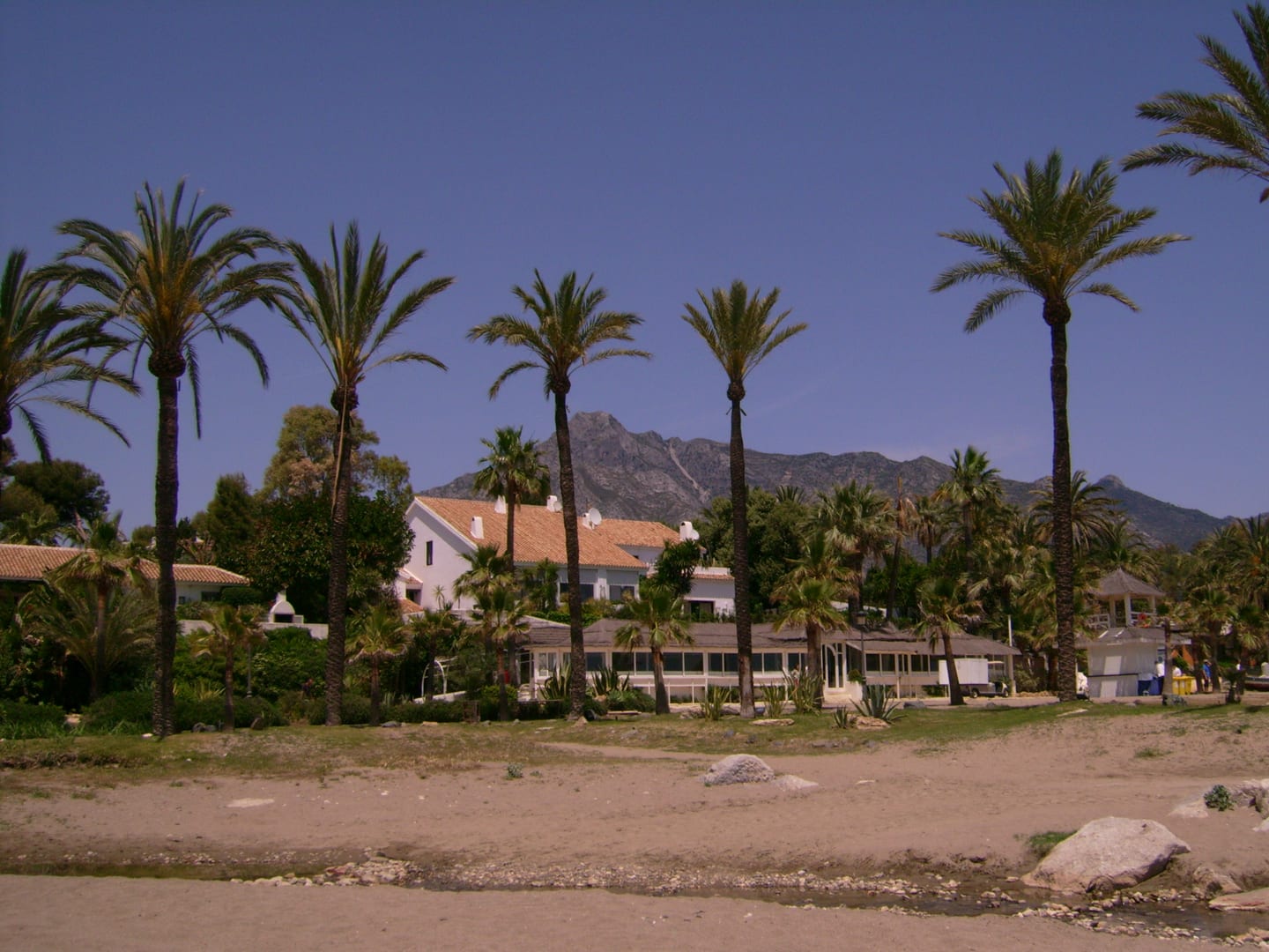 Area photograph near TERRAZAS DE GUADAIZA II showing Marbella Golden Mile beach, tall palm trees, beachfront buildings and La Concha mountain
