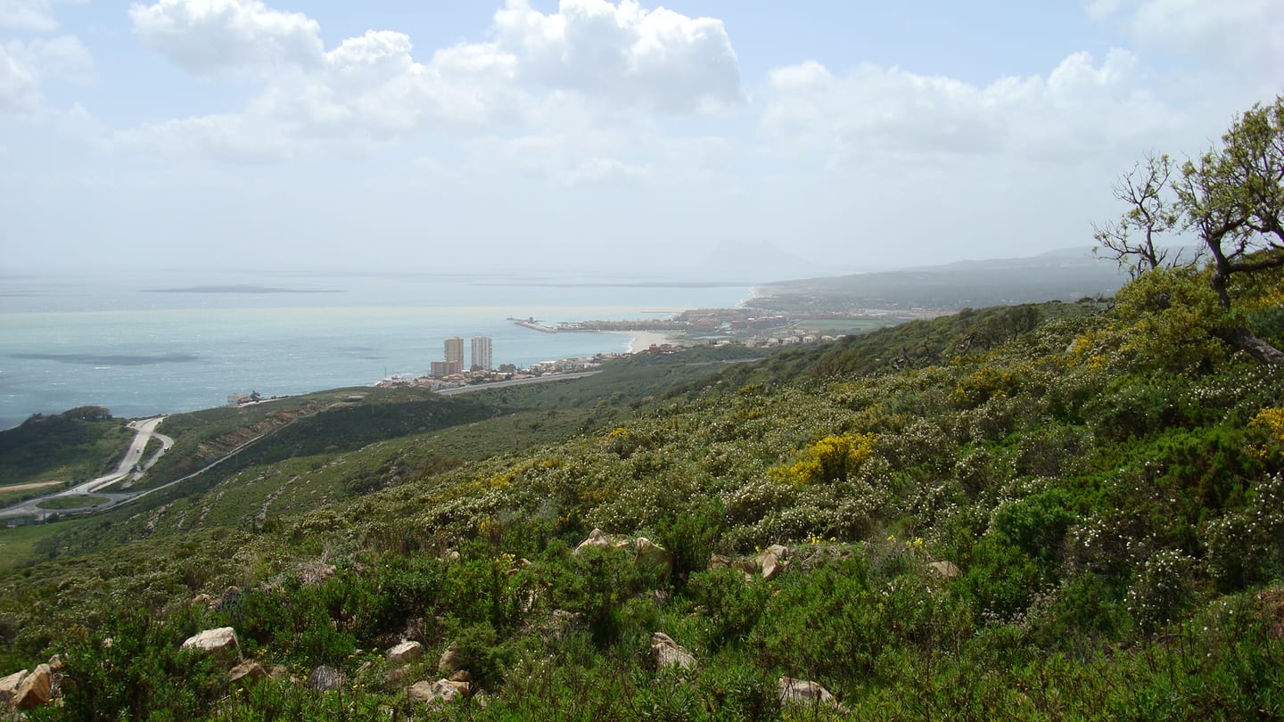 Area photograph near BLUE WAVE: green hillsides with scrub vegetation, with the coastline and Mediterranean Sea in the background.