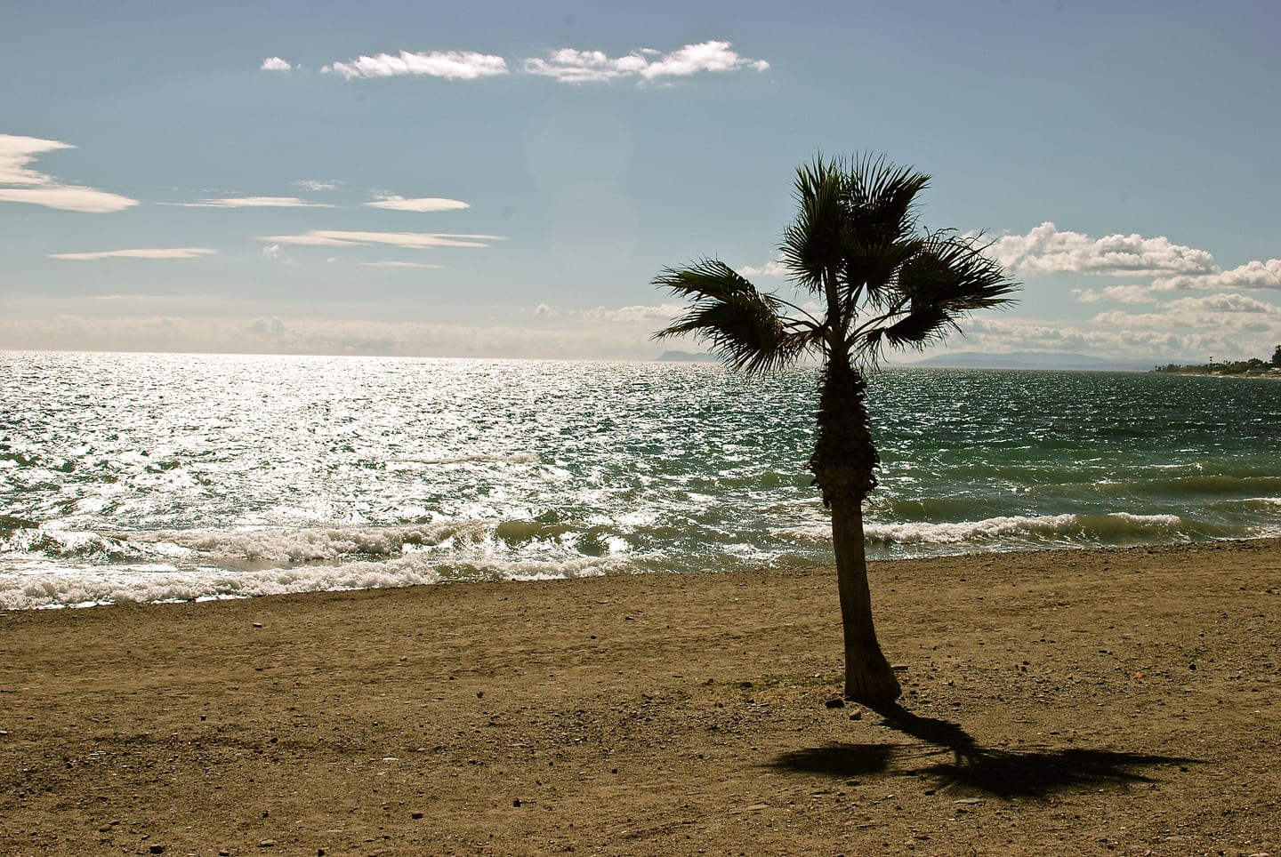 Playa de Cortijo Blanco beach and Mediterranean shoreline with palm tree, Marbella, shown as local context near BLUME