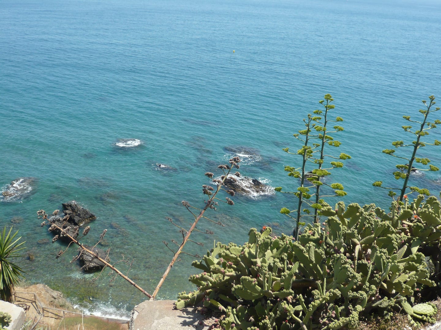 STELLA 8 area photograph of the rocky Mediterranean coastline with turquoise sea, coastal rocks, agave and prickly pear cactus in Benalmádena, Málaga, Spain