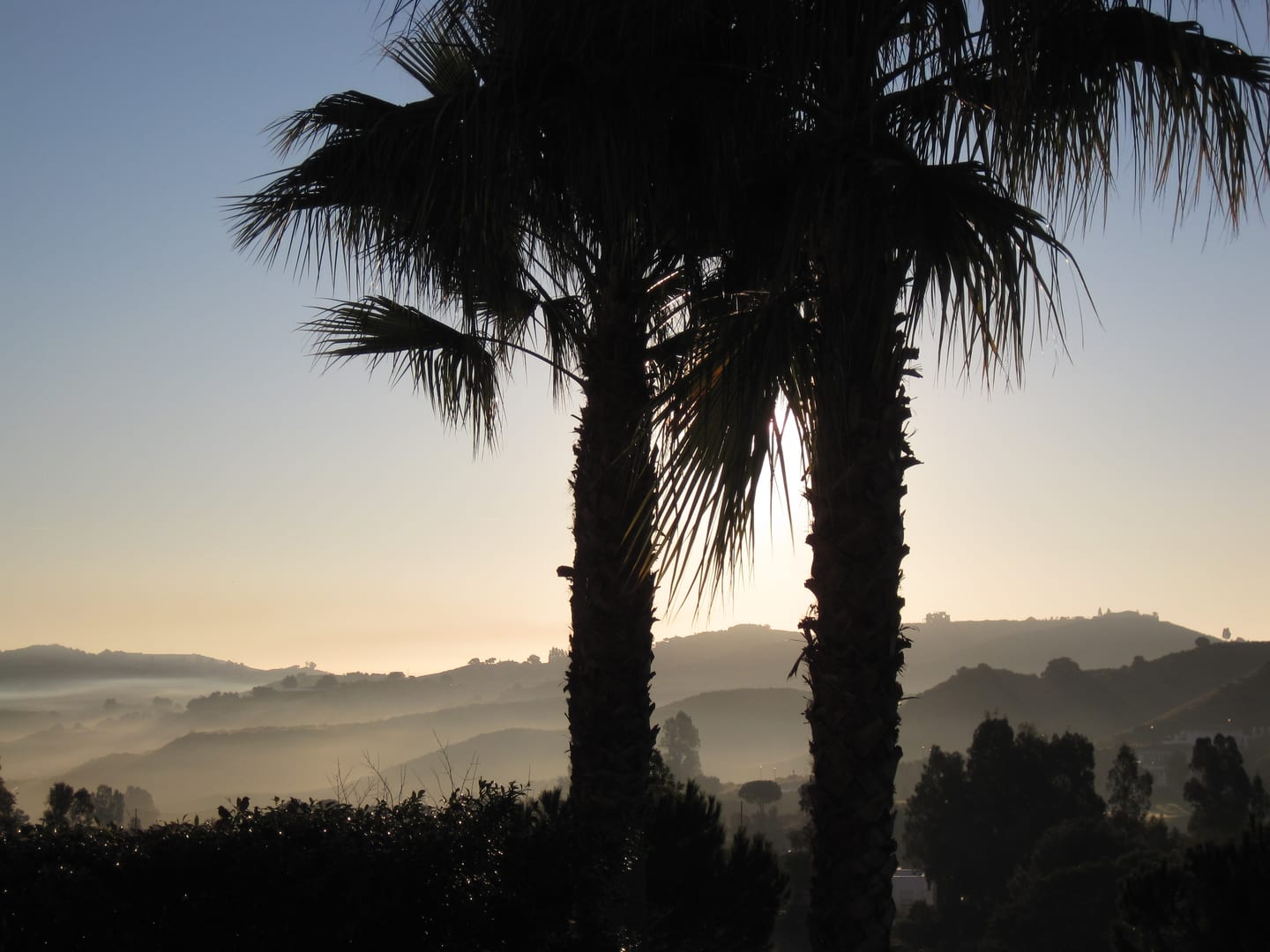 SOLANA VILLAGE area photograph showing sunrise over fog-covered hills near La Cala de Mijas, Costa del Sol, Spain, with palm tree silhouettes in the foreground
