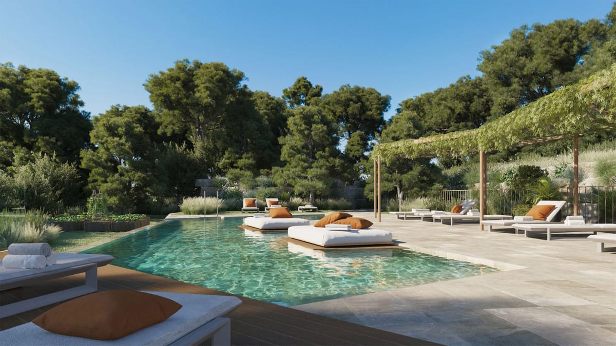 Project visualisation — 16+ COLLECTION: Swimming pool with sun loungers and wooded surroundings.