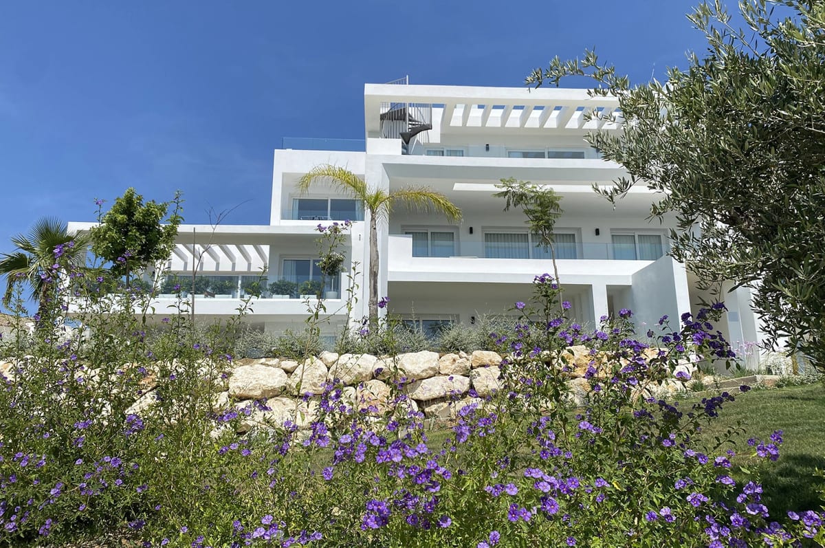 ALCAZABA LAGOON IV with white façades, cantilevered balconies, a rooftop pergola, a palm tree and purple flowers in the foreground.