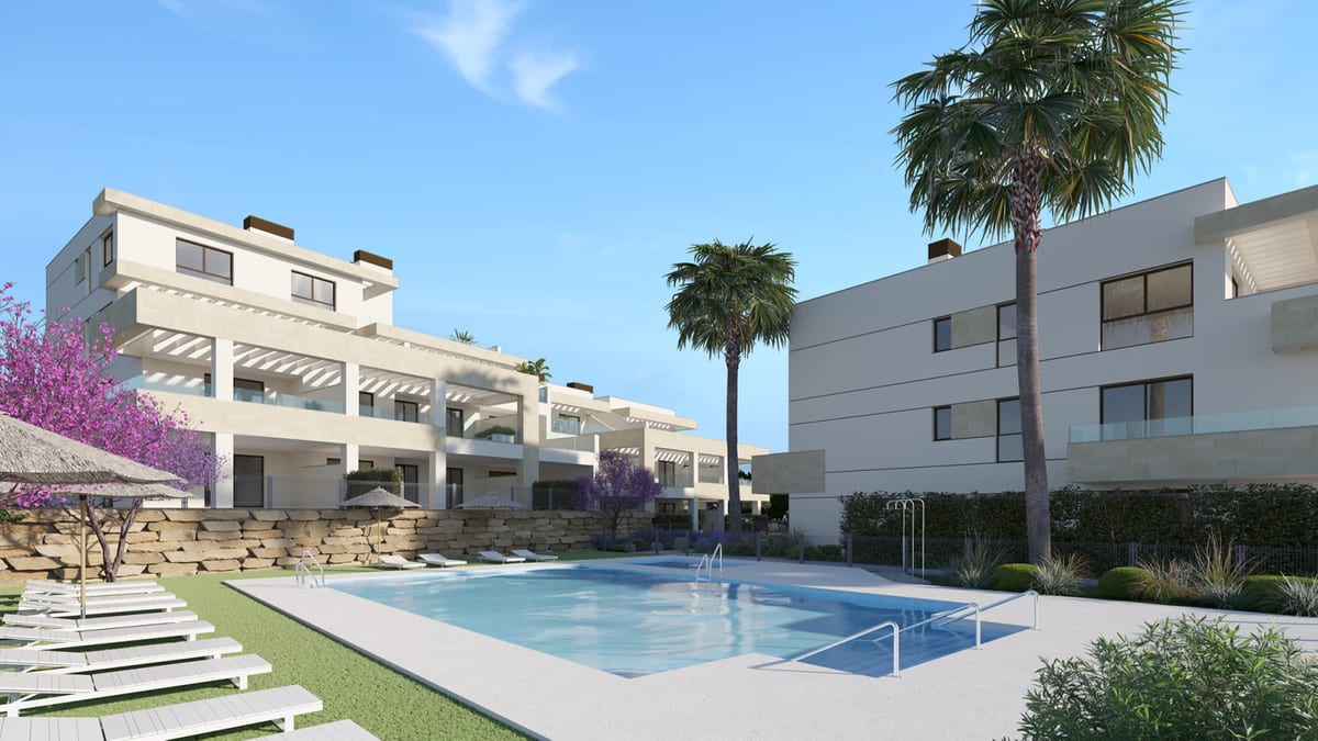 Project visualisation of BAYSIDE HOMES with a rectangular swimming pool, white sun loungers, parasols, palm trees and light-coloured buildings with pergolas in the background.