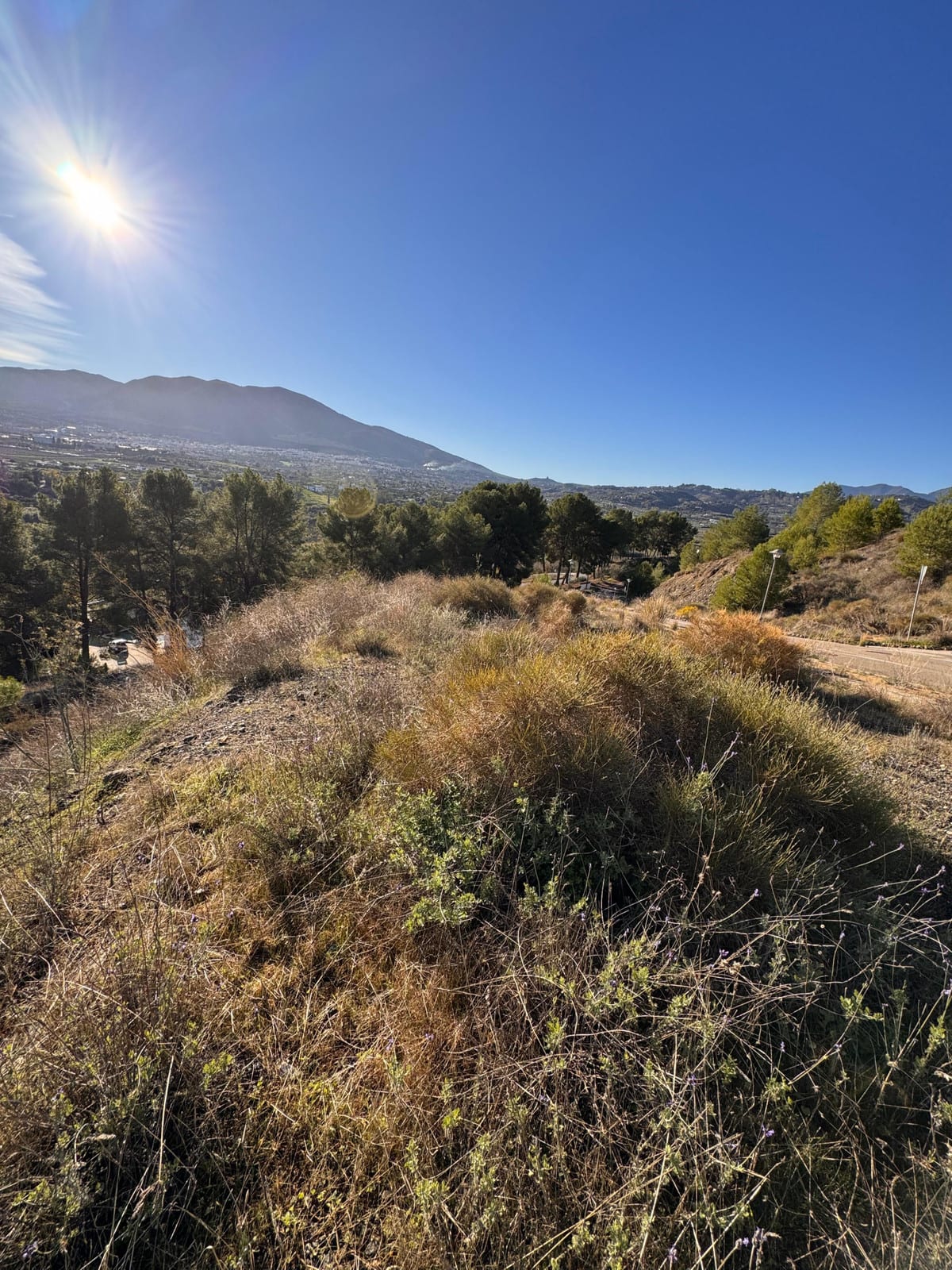 Photograph of sloping ground with dry vegetation, trees and an unpaved track.