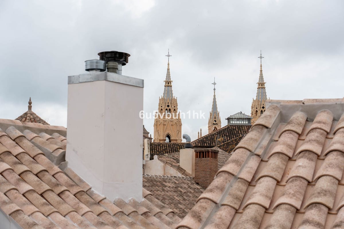 POZOS DULCES 29 — photograph of tiled roofs with a white chimney and three ornate Gothic spires in the background beneath an overcast sky.