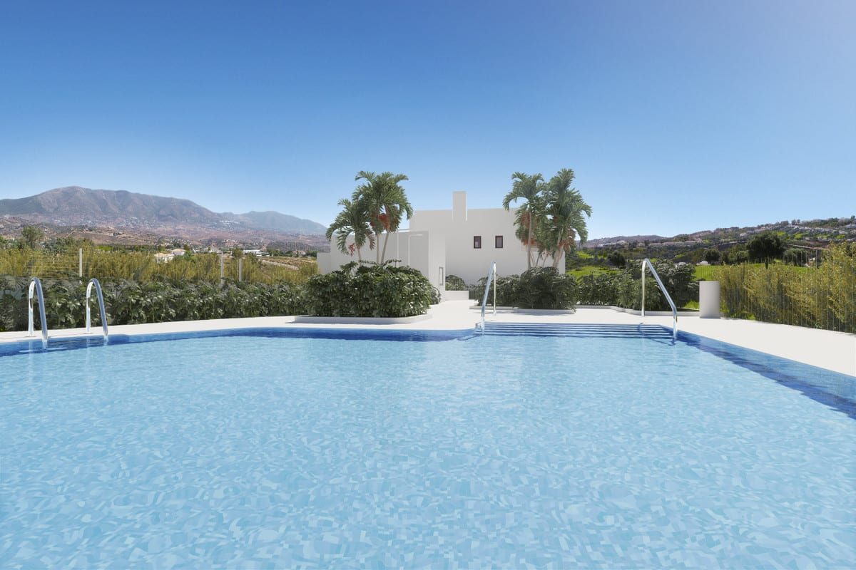 Rendered project visualisation of THE MEADOWS with a large blue swimming pool, chrome entry steps and handrails, two tall palm trees, shrub planting and a white building volume in the background.
