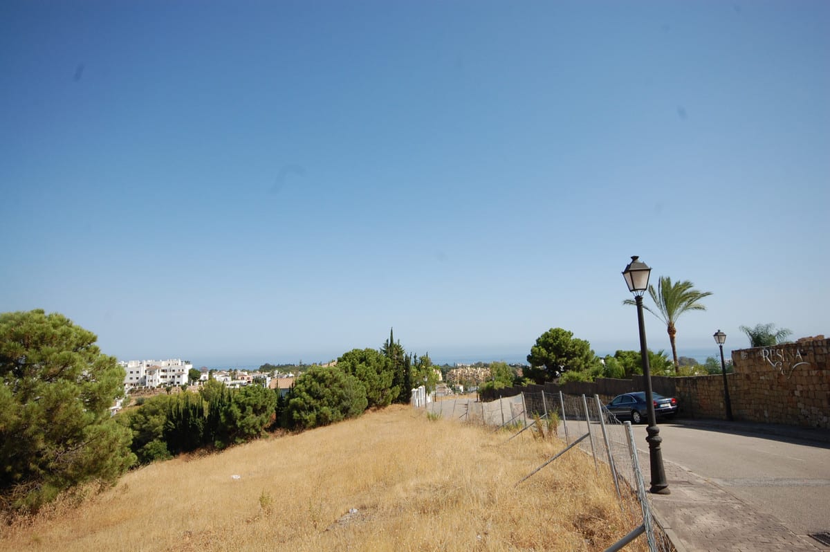 Photograph of dry ground beside a street with lamps, a palm tree and the sea in the distance.