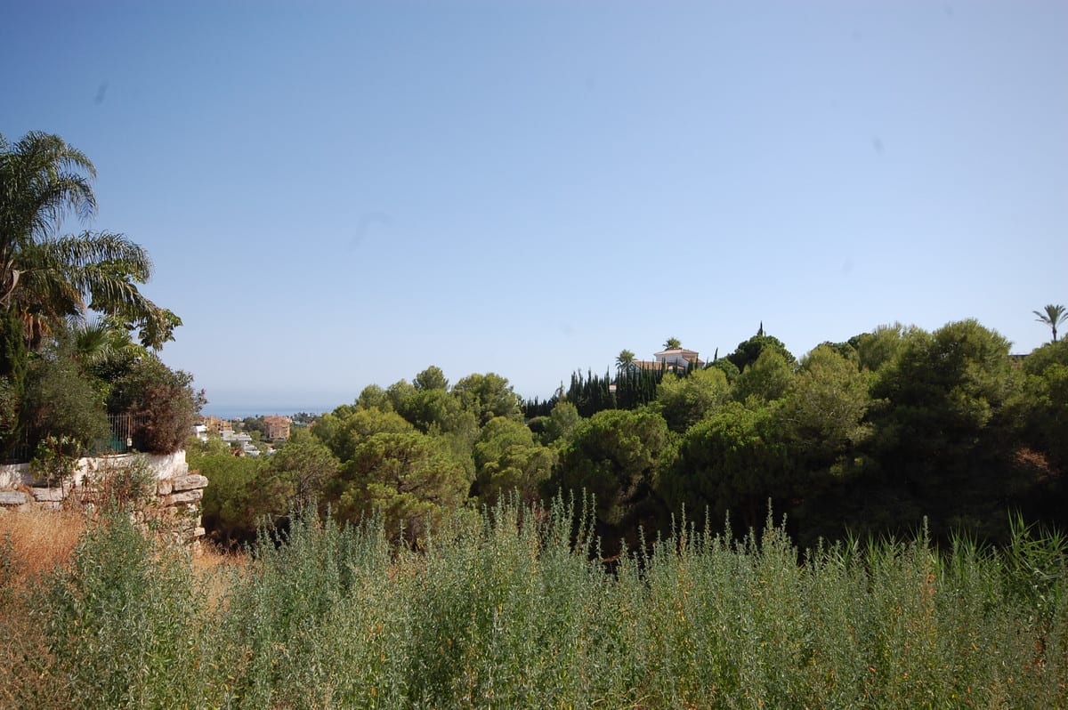 Photograph of a green landscape with trees, shrubs and a distant glimpse of the sea.