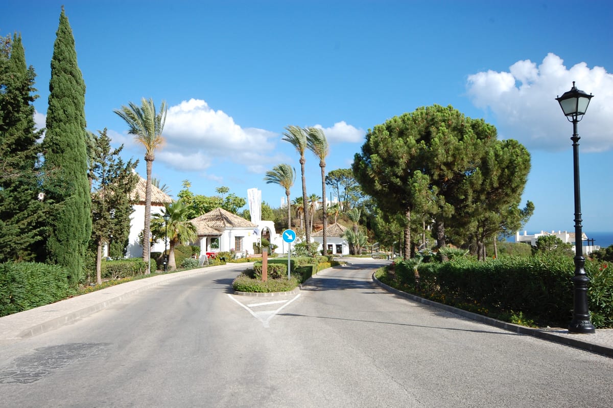ZOE LUXE: Street view with an entrance, palm trees and planting.