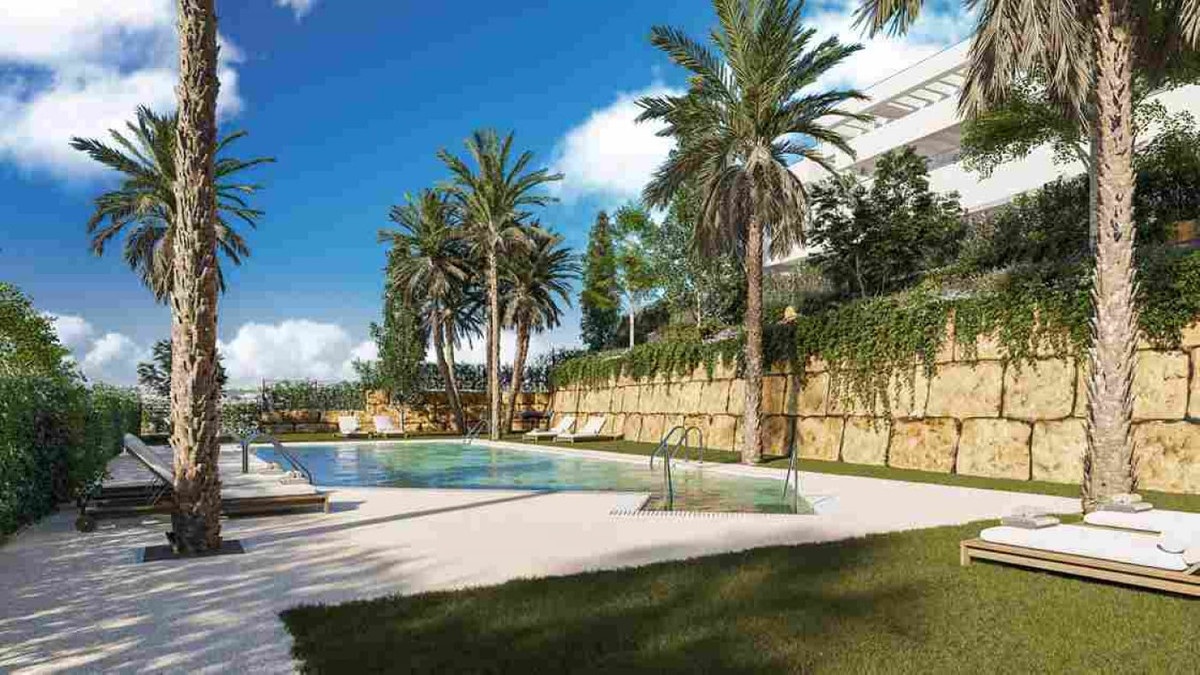 CAMARATE HILLS IV: poolterrasse med palmer og liggestole. Visualisering.