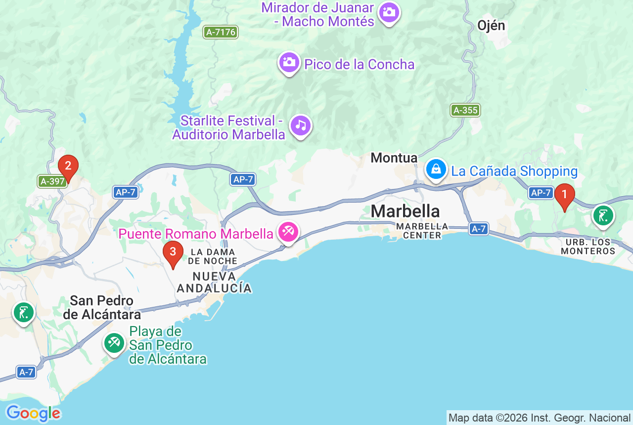Google-Karte mit drei Projekt-Pins in Marbella