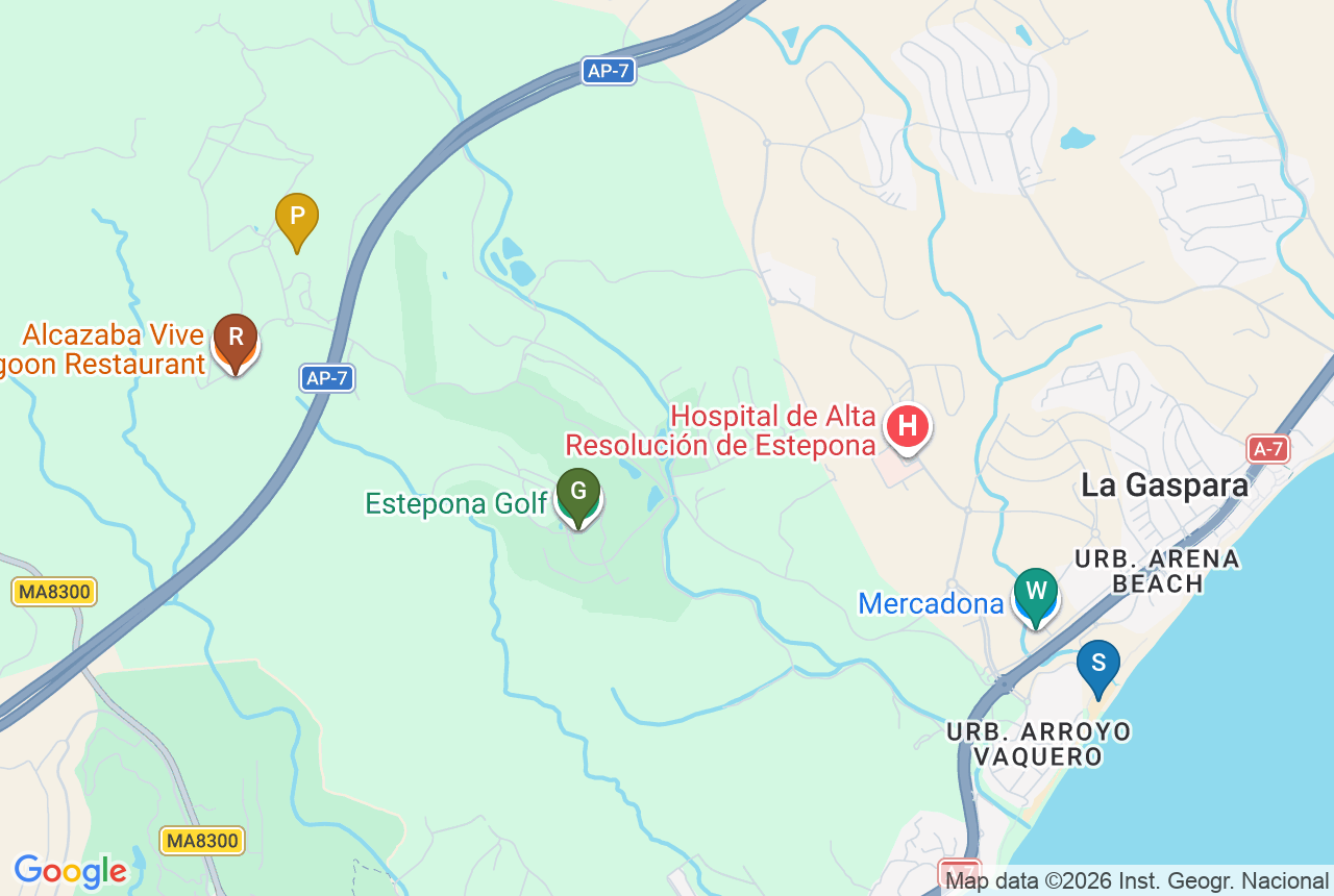 Google map of The Place Alcazaba with five pins